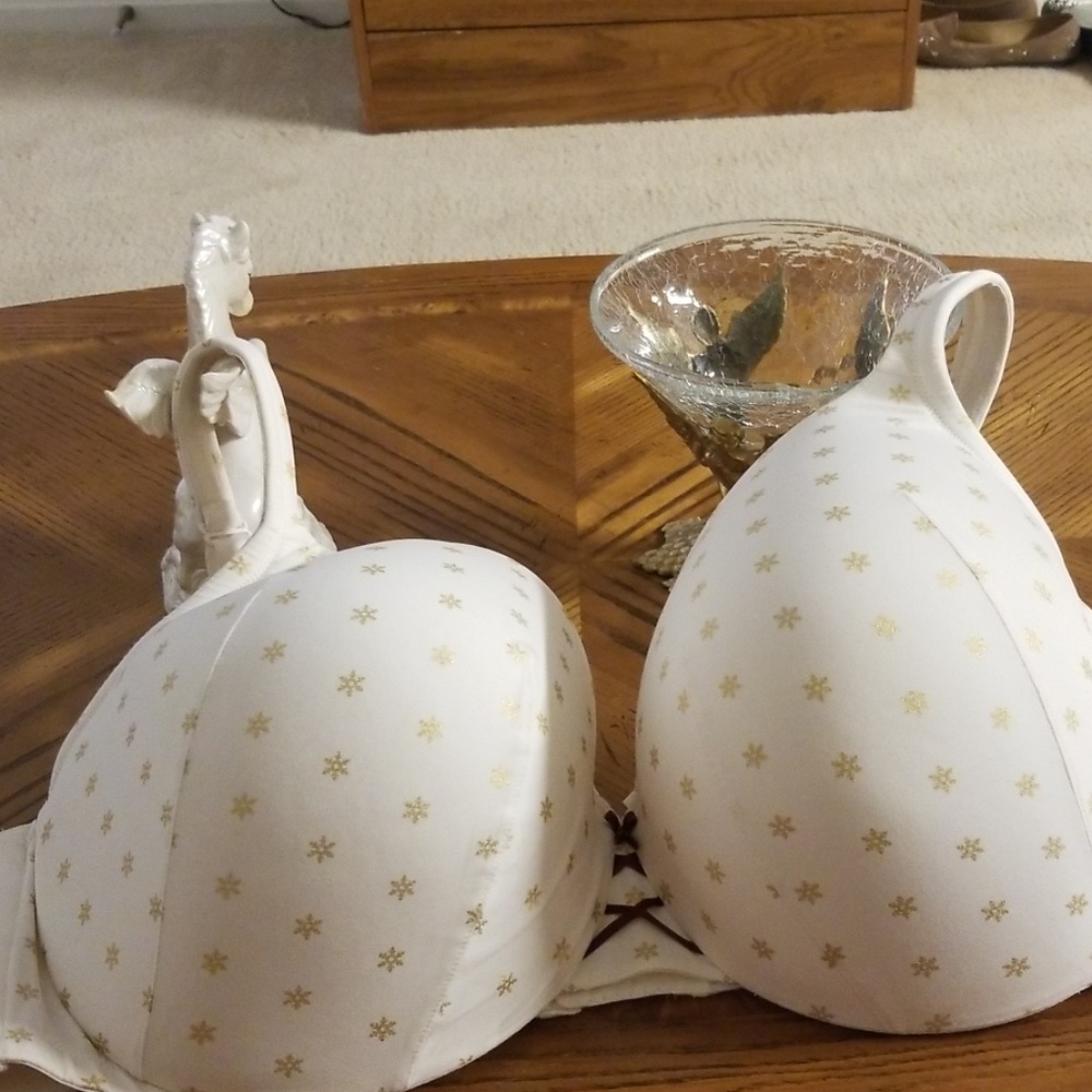 Beautiful cacique nwot bra